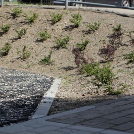 powiększ zdjęcie: Zakończono modernizację podwórza przy ul. Zielonej