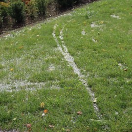 powiększ zdjęcie: Zachowaj bezpieczeństwo w Parku Miejskim