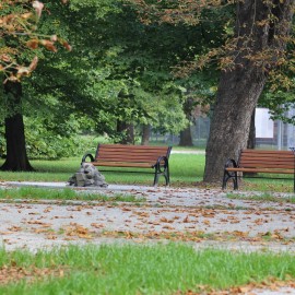 Zakończyła się przebudowa alejek parkowych przy Centrum Witelona