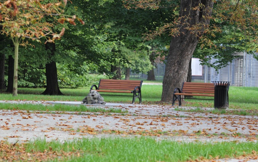Zakończyła się przebudowa alejek parkowych przy Centrum Witelona