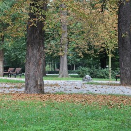 powiększ zdjęcie: Zakończyła się przebudowa alejek parkowych przy Centrum Witelona