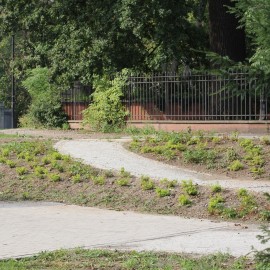 powiększ zdjęcie: Zakończyła się przebudowa alejek parkowych przy Centrum Witelona