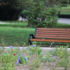 powiększ zdjęcie: Zakończyła się przebudowa alejek parkowych przy Centrum Witelona