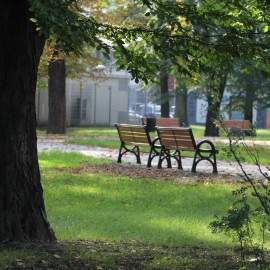 powiększ zdjęcie: Zakończyła się przebudowa alejek parkowych przy Centrum Witelona