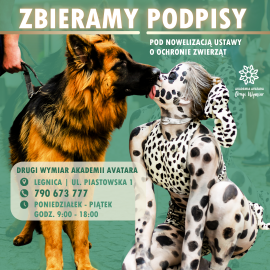 Teatr Avatar wspiera obywatelski projekt ustawy o ochronie zwierząt