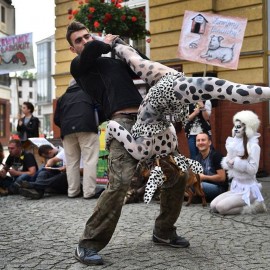 powiększ zdjęcie: Teatr Avatar wspiera obywatelski projekt ustawy o ochronie zwierząt