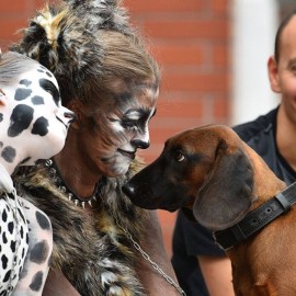 powiększ zdjęcie: Teatr Avatar wspiera obywatelski projekt ustawy o ochronie zwierząt