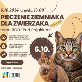 Najedz się do syta i pomóż bezdomnym zwierzakom