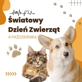 4 października obchodzimy Światowy Dzień Zwierząt