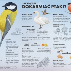 powiększ zdjęcie: 4 października obchodzimy Światowy Dzień Zwierząt