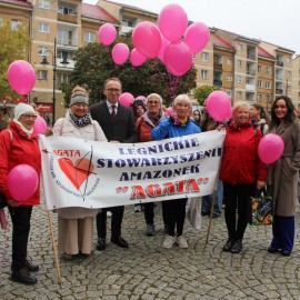 powiększ zdjęcie: 26. Marsz Ku Zdrowiu przeszedł ulicami Legnicy