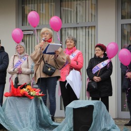 powiększ zdjęcie: 26. Marsz Ku Zdrowiu przeszedł ulicami Legnicy