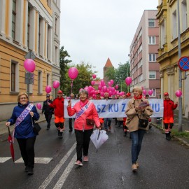 powiększ zdjęcie: 26. Marsz Ku Zdrowiu przeszedł ulicami Legnicy