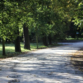 powiększ zdjęcie: Zakończono przebudowę alejek parkowych: Białej, Oswobodzenia i Hetmańskiej