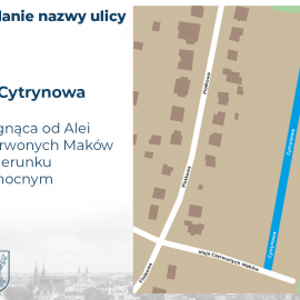 powiększ zdjęcie: Ulice i ronda w Legnicy będą miały nowe nazwy – sprawdź je