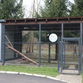 powiększ zdjęcie: LBO. Powstały nowe pawilony z wybiegami dla piesków