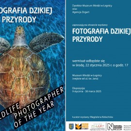 Wystawa „Fotografia dzikiej przyrody” w Muzeum Miedzi w Legnicy