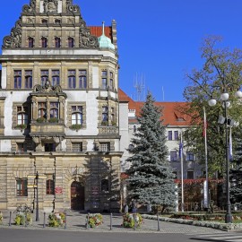 Ekoleg zajmie się pielęgnacją zieleni wokół budynków urzędu miasta
