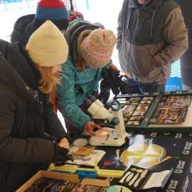 powiększ zdjęcie: Legnica zachwyca na Dolnośląskiej Zimie 2025 w Zieleńcu