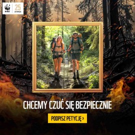 powiększ zdjęcie: Legnica przyłącza się do akcji „Godzina dla Ziemi WWF”
