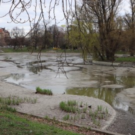 powiększ zdjęcie: Trwa oczyszczanie Koziego Stawu. Prace przebiegają zgodnie z harmonogramem