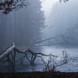 powiększ zdjęcie: Efekt WOW! w fotografii. Wernisaż wystawy w Domu Kultury Atrium