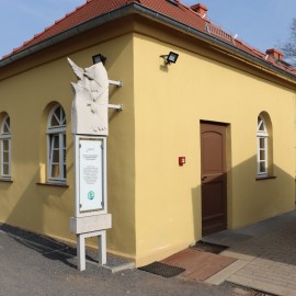 powiększ zdjęcie: Legnicka palmiarnia z refundacją – 617 tys. zł z programu MKiDN