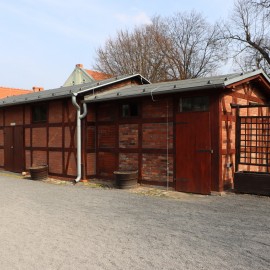 powiększ zdjęcie: Legnicka palmiarnia z refundacją – 617 tys. zł z programu MKiDN