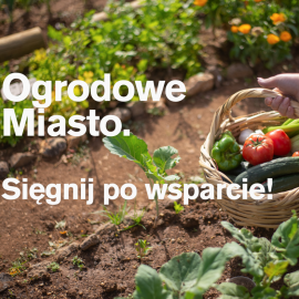 "Ogrodowe Miasto. Sięgnij po wsparcie". Rusza nabór wniosków