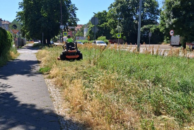 Dzięki restrukturyzacji długu więcej pieniędzy na zieleń