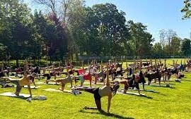Sierpniowa joga pod chmurką w parku Miejskim. Nie przegap