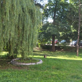 powiększ zdjęcie: W centrum miasta powstanie skwer ze strefą wypoczynku