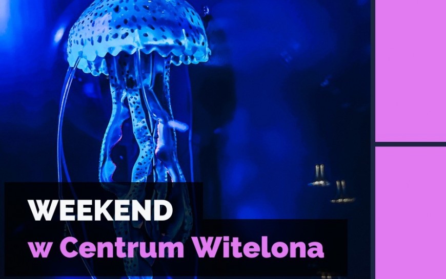 Kosmiczne lato w Centrum Witelona trwa