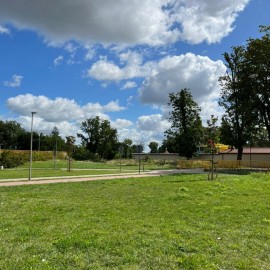 powiększ zdjęcie: Nowe magnolie od firmy Wise EXPO