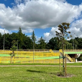 powiększ zdjęcie: Nowe magnolie od firmy Wise EXPO