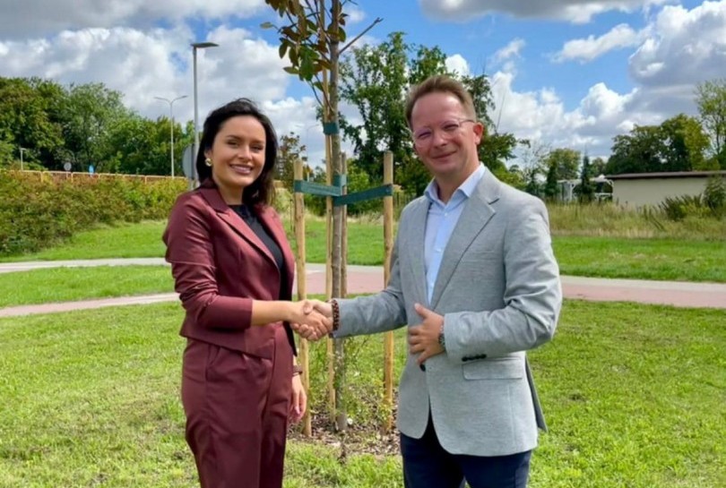 Nowe magnolie od firmy Wise EXPO