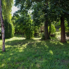 powiększ zdjęcie: Dwie firmy chcą stworzyć w centrum skwer ze strefą wypoczynku