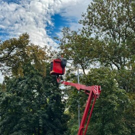 powiększ zdjęcie: Rewolucja oświetleniowa w Legnicy. Zmodernizujemy ponad 2600 latarni