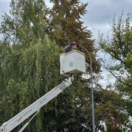 Rewolucja oświetleniowa w Legnicy. Zmodernizujemy ponad 2600 latarni