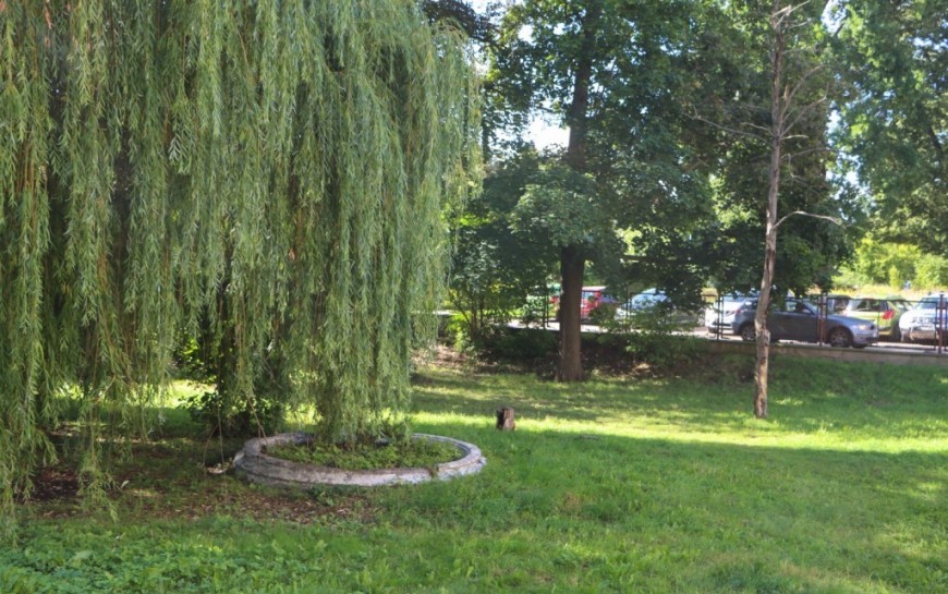 Legnicka firma stworzy w centrum miasta skwer ze strefą wypoczynku