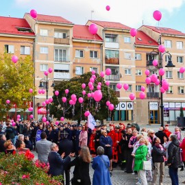 powiększ zdjęcie: Marsz Ku Zdrowiu w Legnicy