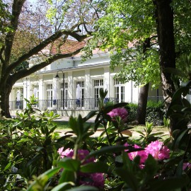 powiększ zdjęcie: Święto Województwa Dolnośląskiego w Legnicy – odkryj miasto z nowej perspektywy