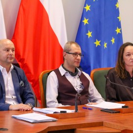 powiększ zdjęcie: Projekt herbu miasta z pozytywną opinią Komisji Kapituły i Statutu Rady Miejskiej