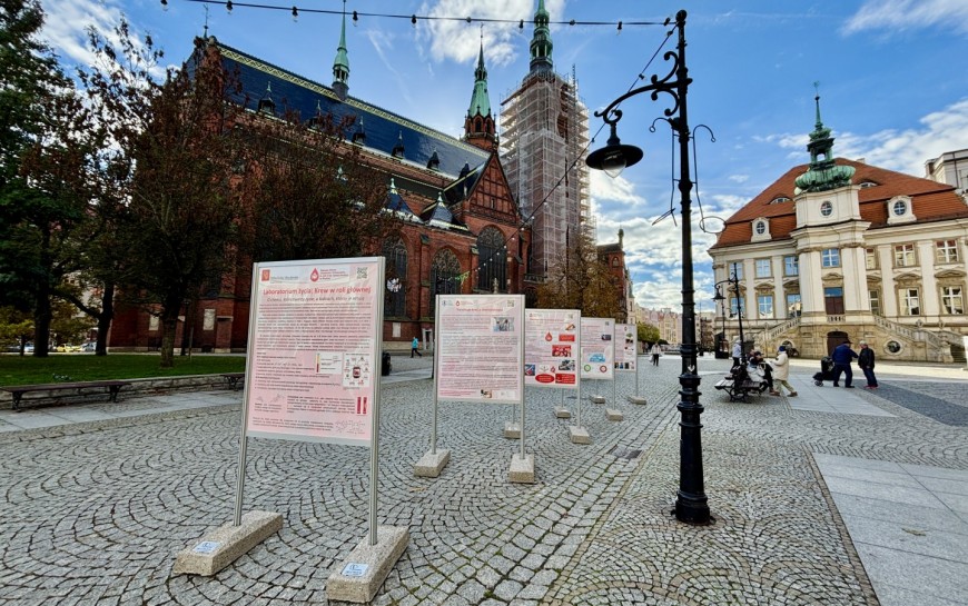 „Laboratorium życia: krew w roli głównej” – nowa wystawa w legnickim Rynku