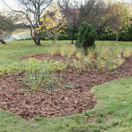 powiększ zdjęcie: Zakończono rewitalizację zieleńca przy ul. Jordana