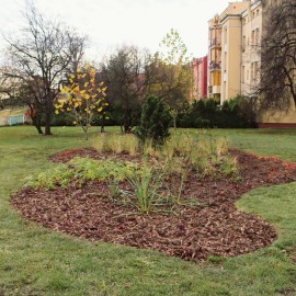 powiększ zdjęcie: Zakończono rewitalizację zieleńca przy ul. Jordana