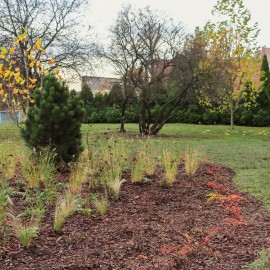 powiększ zdjęcie: Zakończono rewitalizację zieleńca przy ul. Jordana