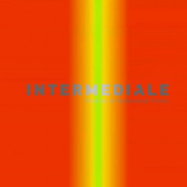 Intermediale Festival 2025 – wydarzenia audiowizualne w Legnicy i Wrocławiu