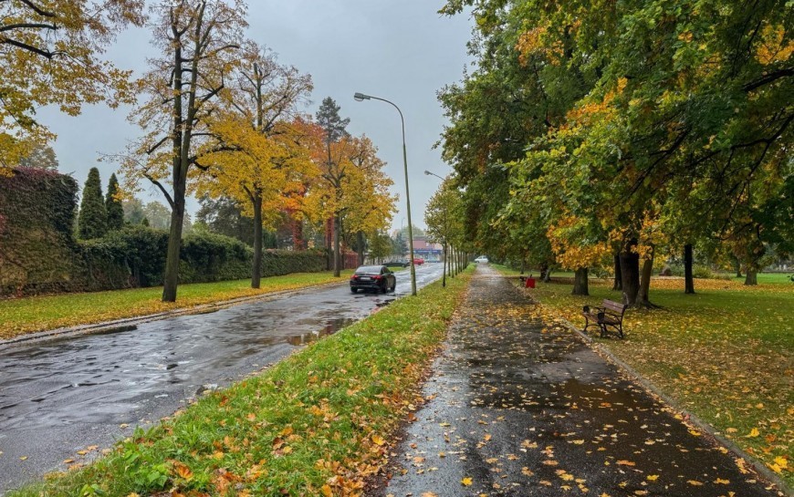 Rozpoczyna się remont al. Ofiar Ludobójstwa OUN UPA. Od poniedziałku ulica zamknięta