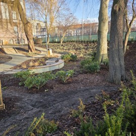 powiększ zdjęcie: W centrum miasta mamy skwer ze strefą wypoczynku